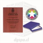 Galvano Carta biselado 22 x 28 cms.