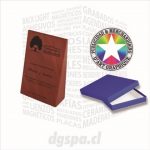 Galvano Cuña 14.5 x 9.5 x 4 cms.