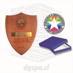 Galvano Escudo Heráldico 19 x 24 cms.